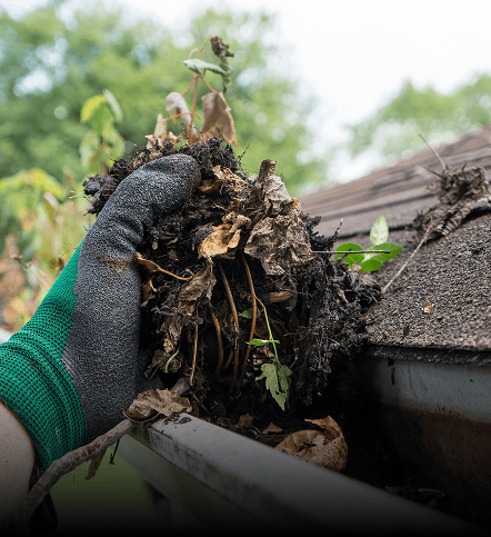 Leaf & Debris <span class='block'>Removal</span>